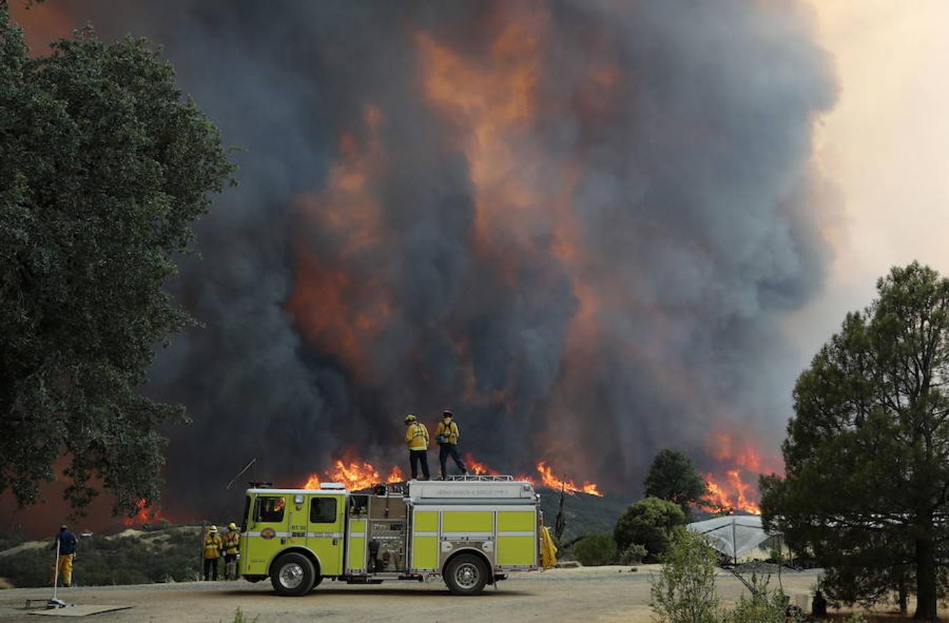 Los quince incendios de California han arrasado ya 113.300 hectáreas. 