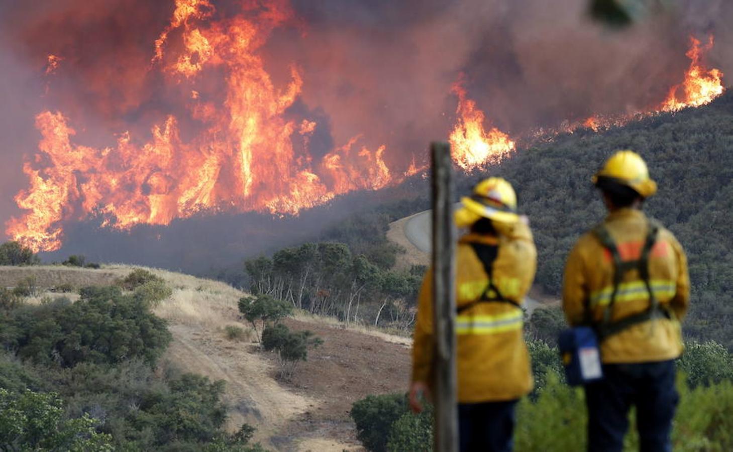 Los quince incendios de California han arrasado ya 113.300 hectáreas. 