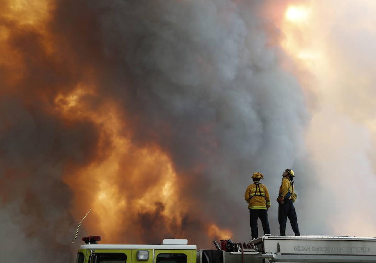 Los quince incendios de California han arrasado ya 113.300 hectáreas. 