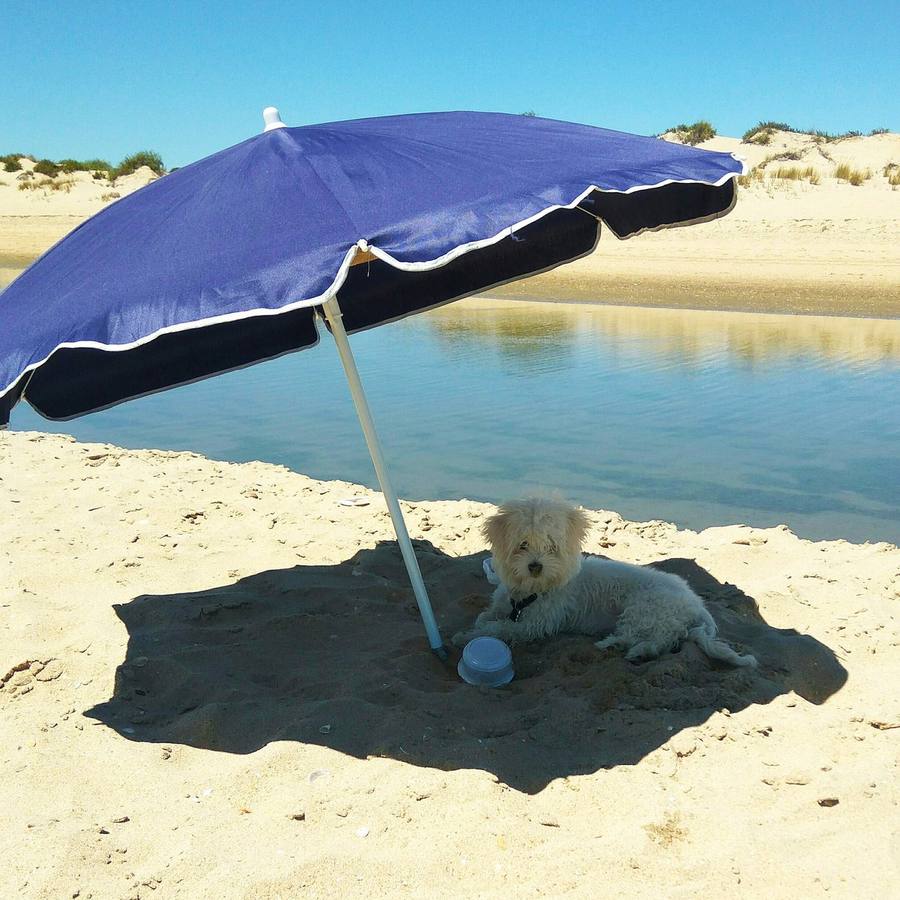 Las fotos de los lectores de ABC con #MiveranoenABC (V)