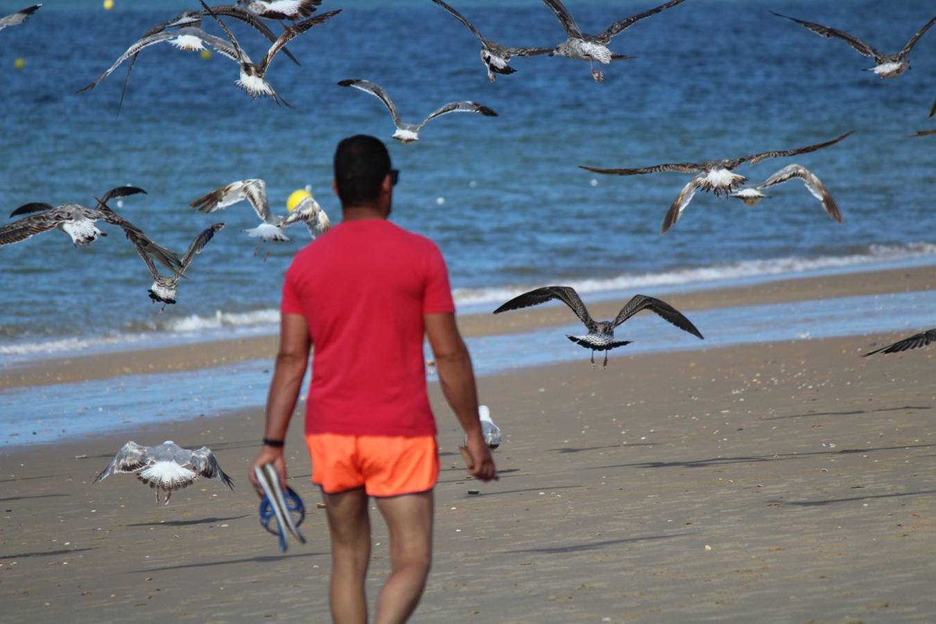 Las fotos de verano de los lectores de ABC con #MiveranoenABC (VI)