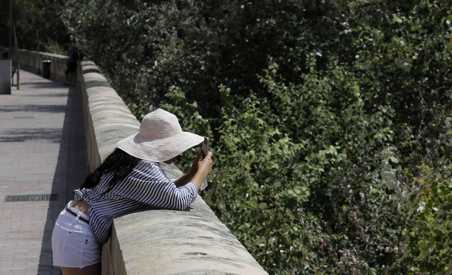 Un domingo desértico en Córdoba, en imágenes