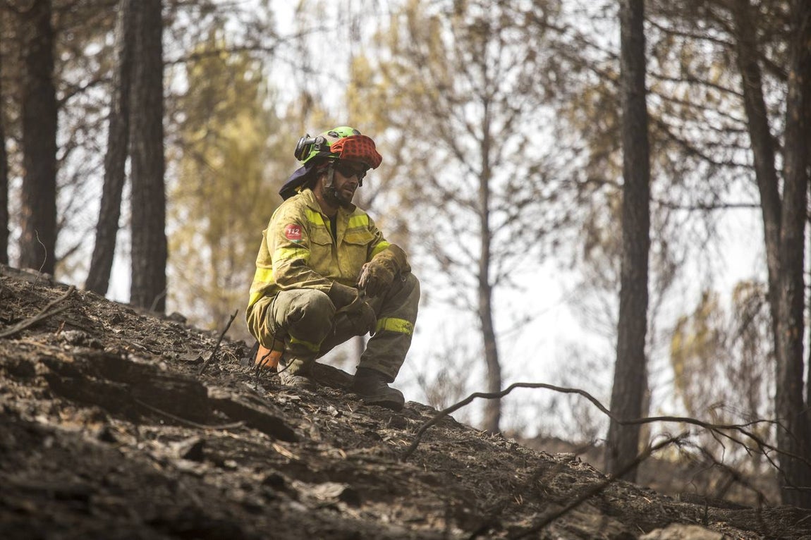 Espectaculares imágenes del incendio de Almonaster la Real