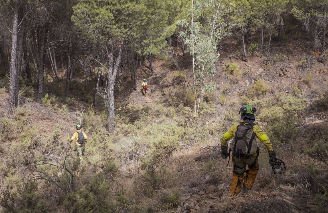 Espectaculares imágenes del incendio de Almonaster la Real