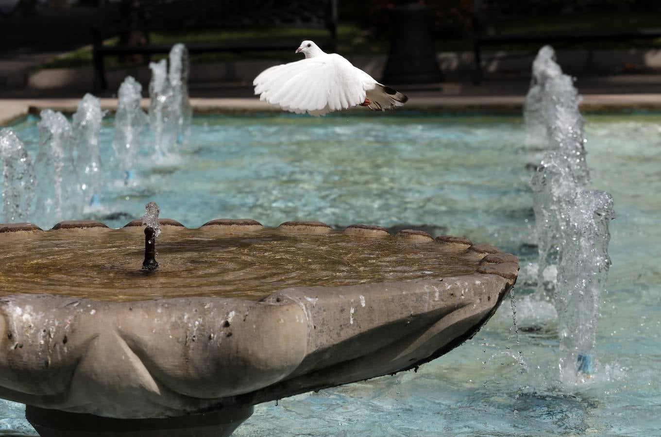 Las fuentes, un recurso contra el calor en Córdoba, en imágenes