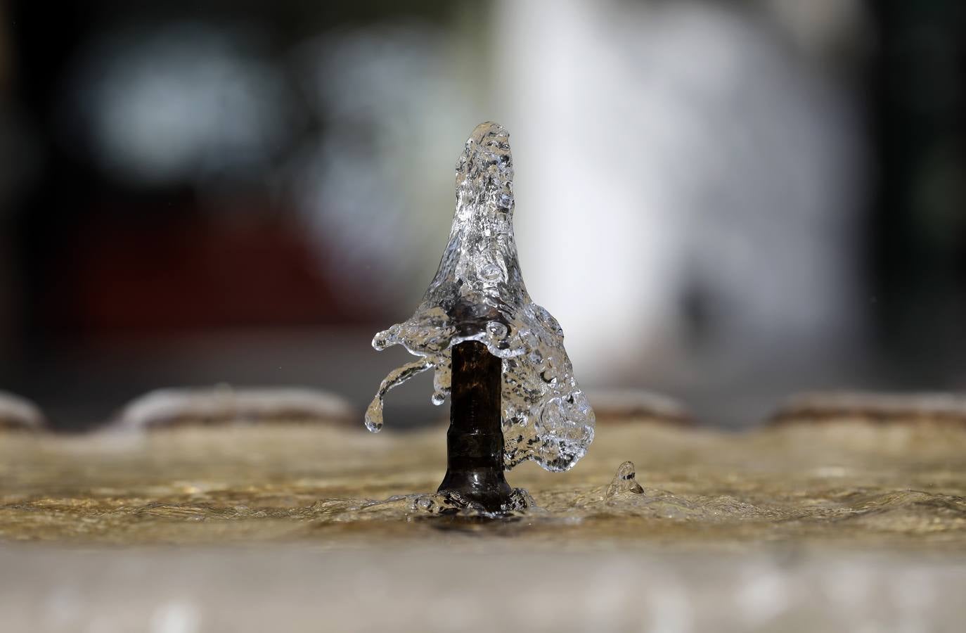 Las fuentes, un recurso contra el calor en Córdoba, en imágenes