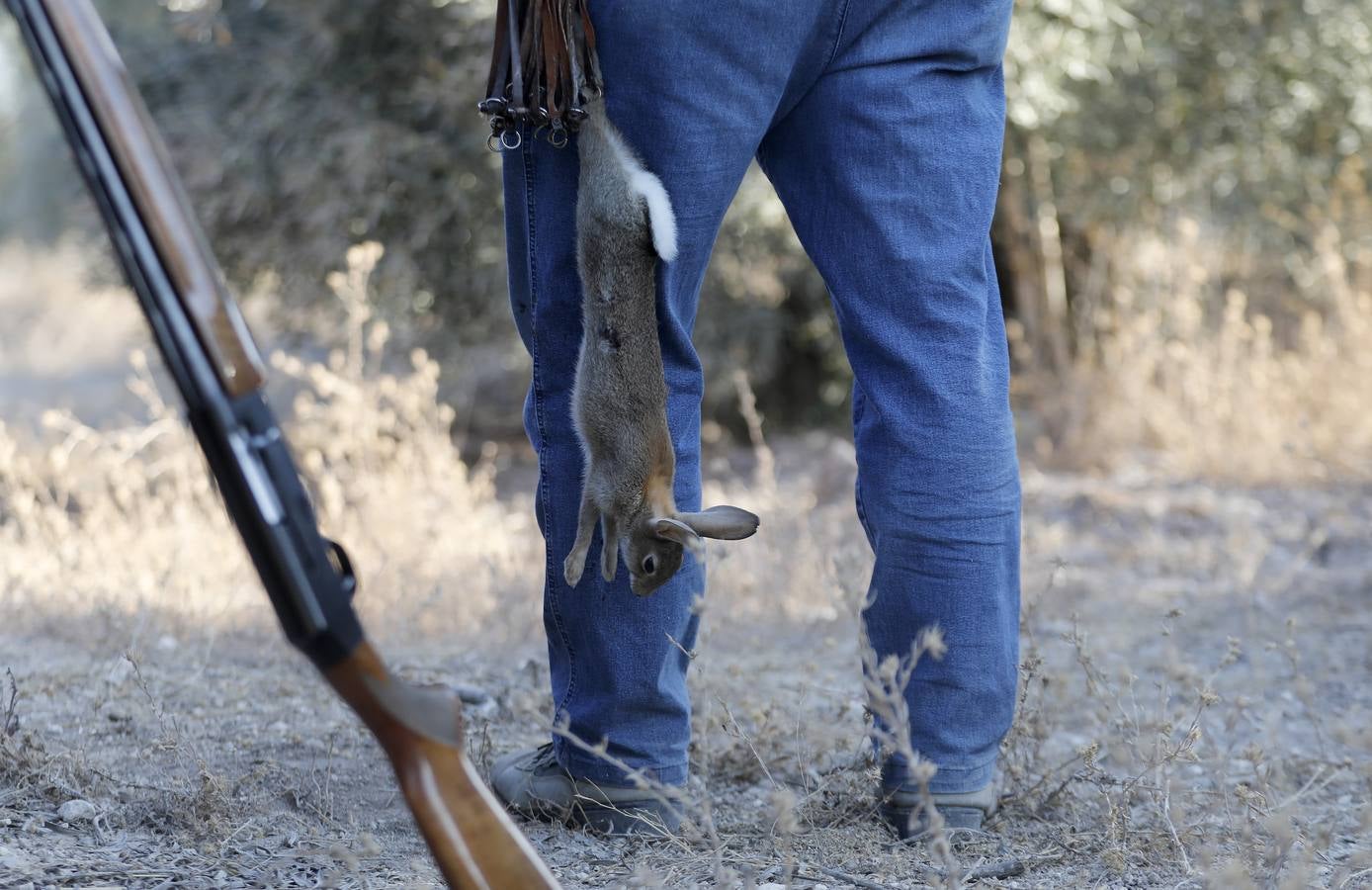 Imágenes de un día de caza en Córdoba