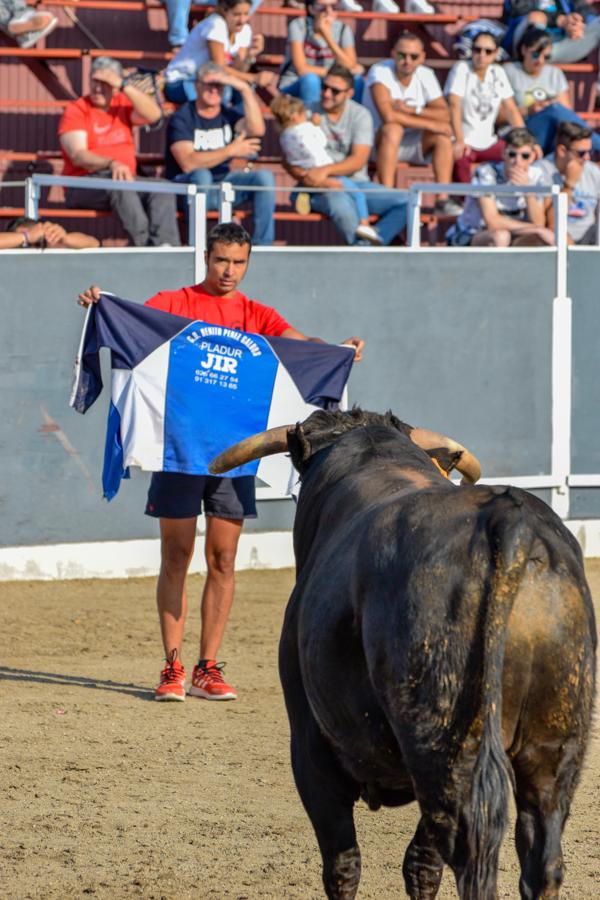 Los encierros, centro de las fiestas de Alameda de la Sagra