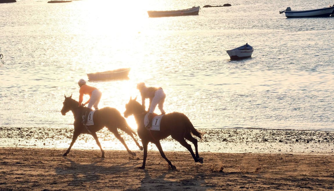 Los caballos vuelven a tomar la playa de Sanlúcar de Barrameda