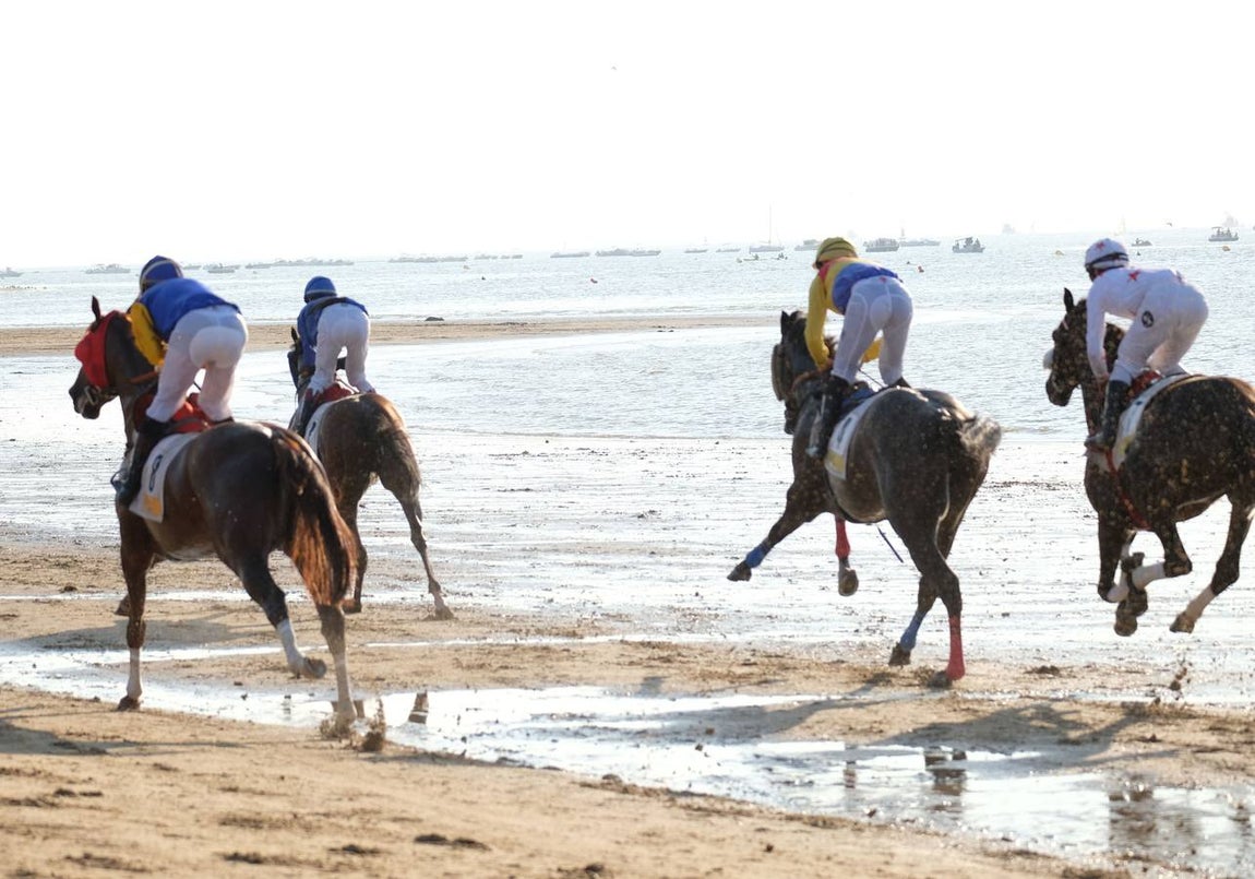 Los caballos vuelven a tomar la playa de Sanlúcar de Barrameda