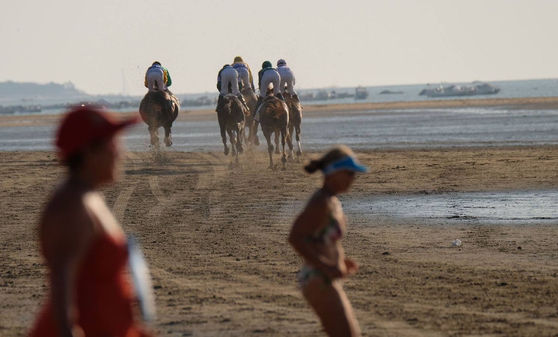 Los caballos vuelven a tomar la playa de Sanlúcar de Barrameda