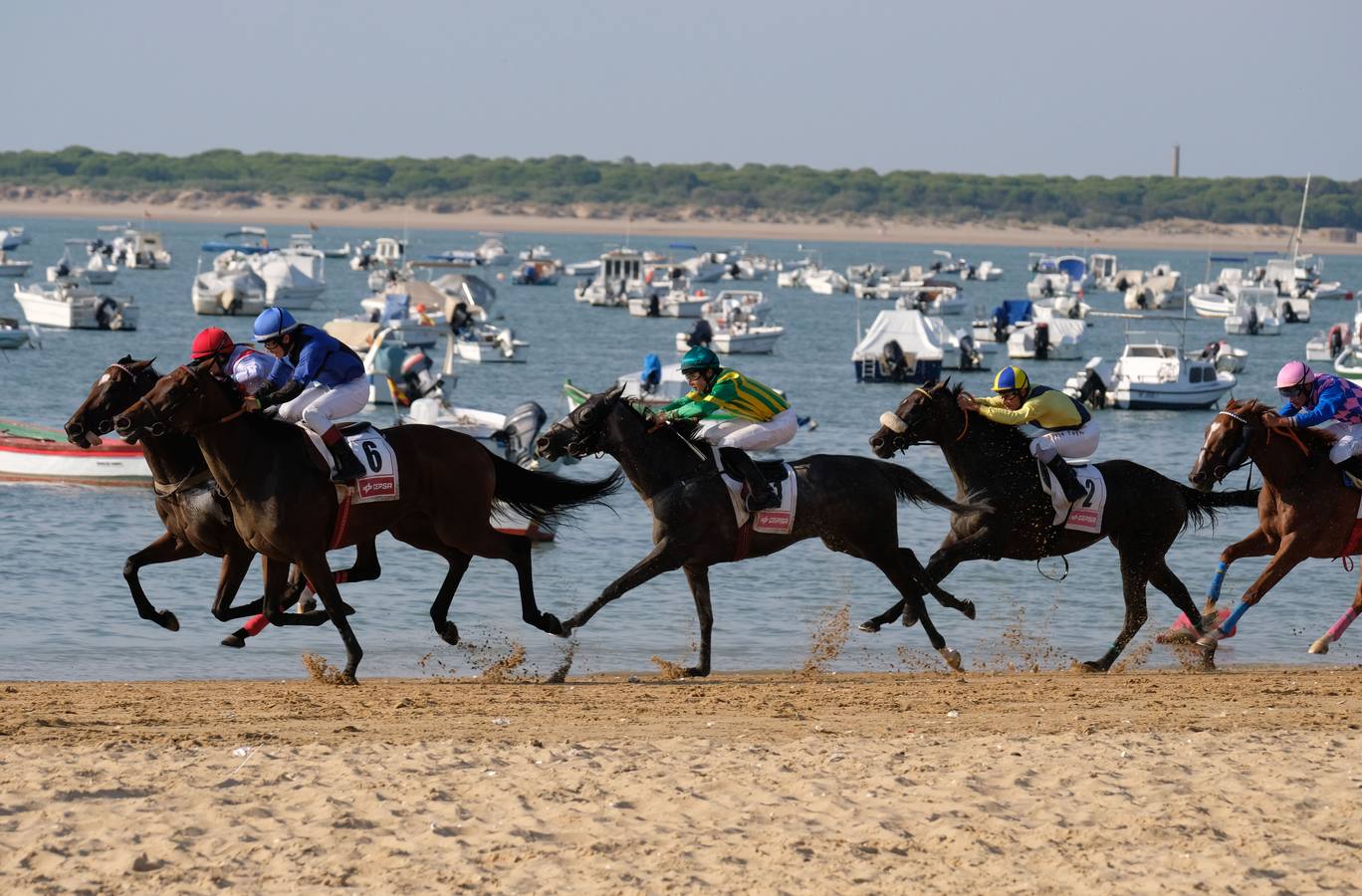 Los caballos vuelven a tomar la playa de Sanlúcar de Barrameda