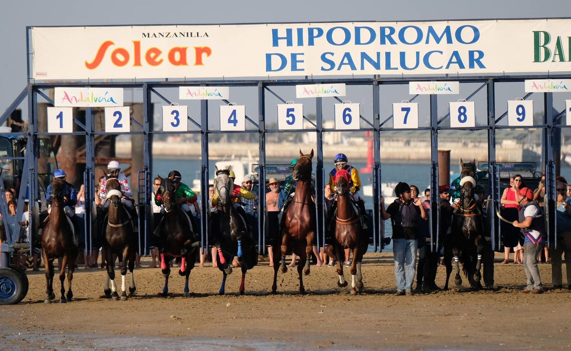 Los caballos vuelven a tomar la playa de Sanlúcar de Barrameda