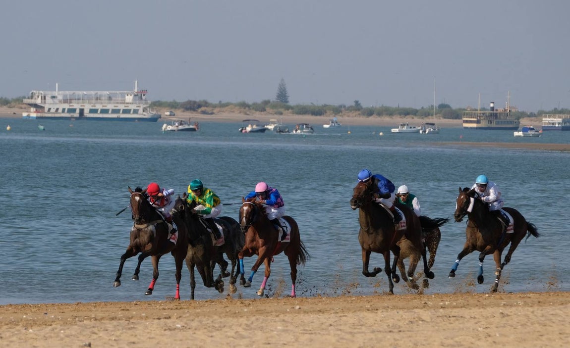 Los caballos vuelven a tomar la playa de Sanlúcar de Barrameda