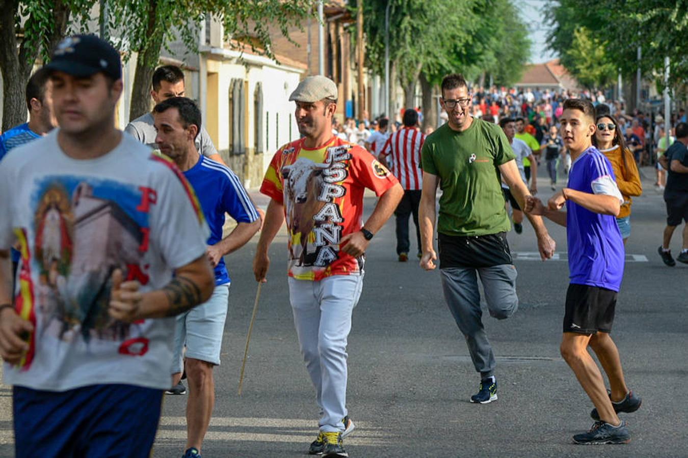 Segundo encierro de las fiestas de Añover