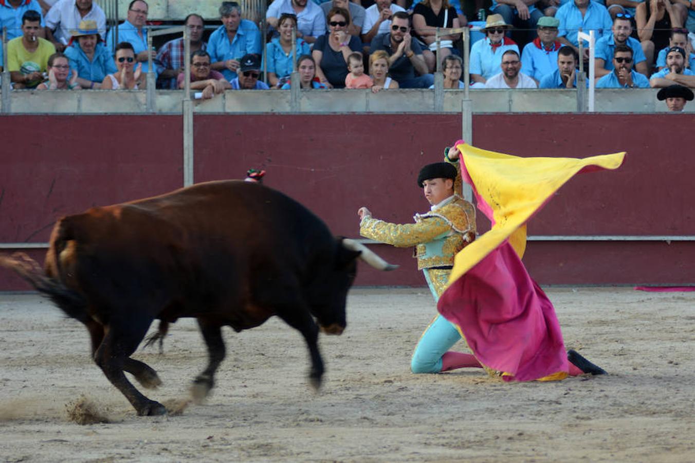 Toros en las fiestas de Santa Cruz de Retamar