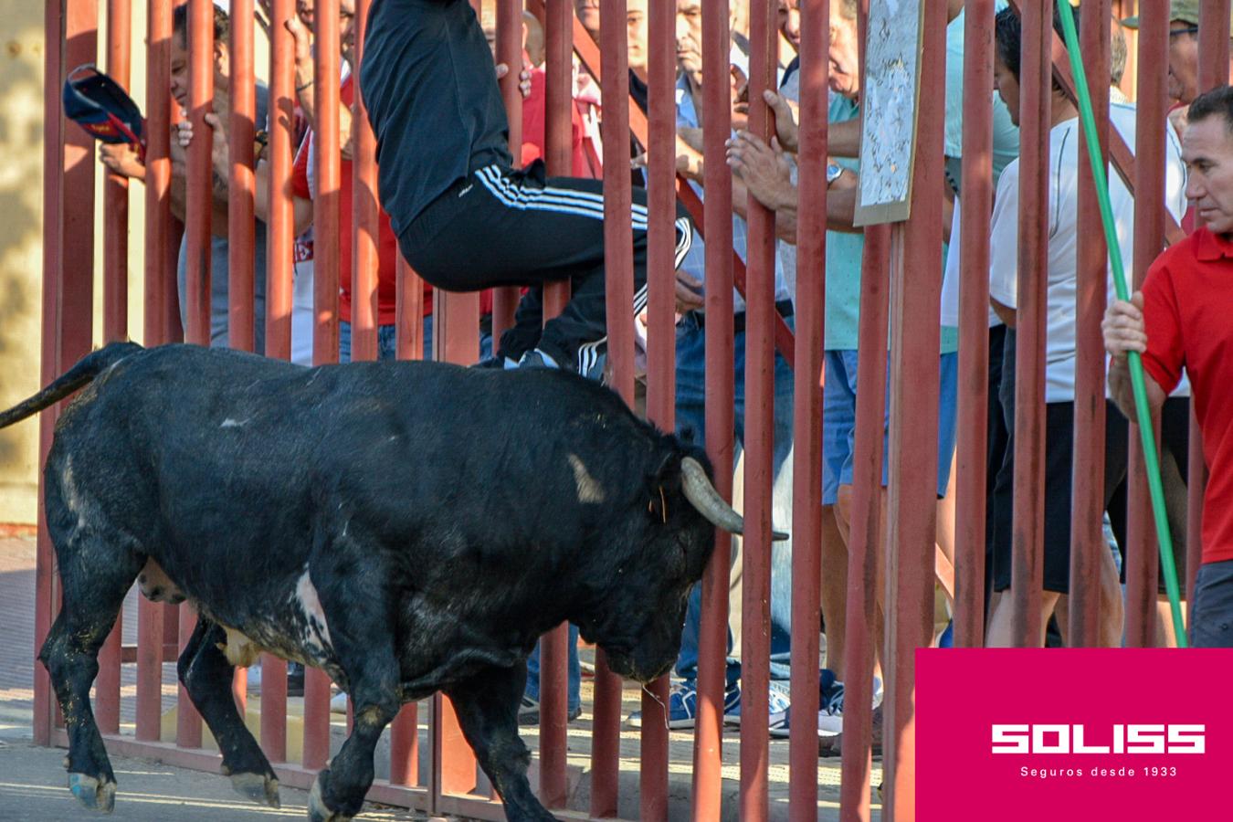 Primer encierro de las fiestas de Illescas