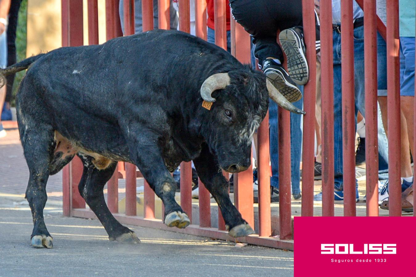 Primer encierro de las fiestas de Illescas