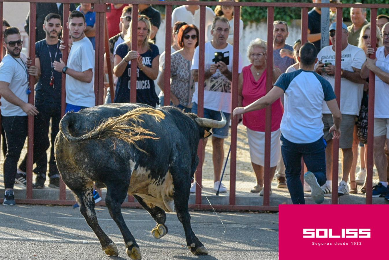 Primer encierro de las fiestas de Illescas