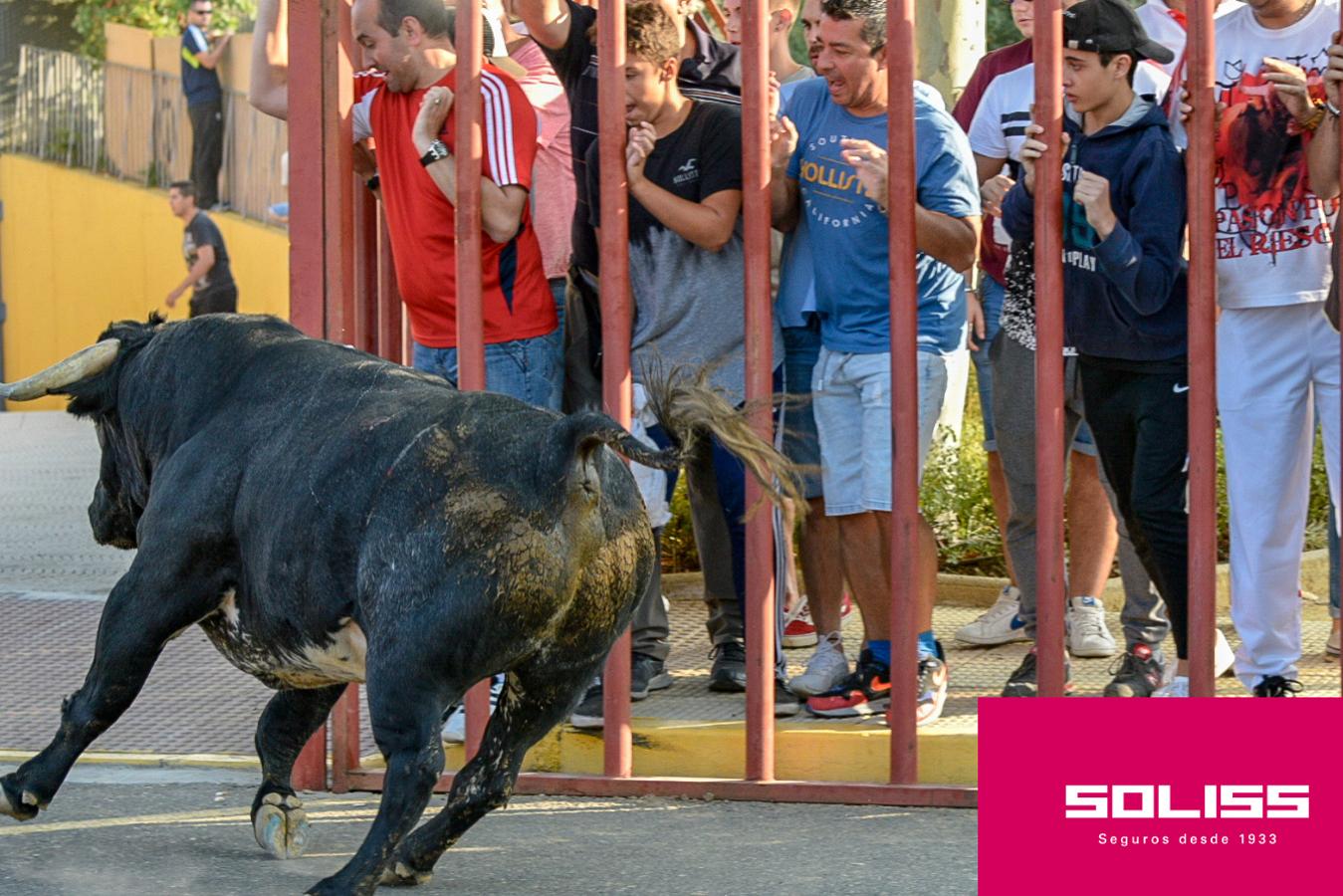 Primer encierro de las fiestas de Illescas