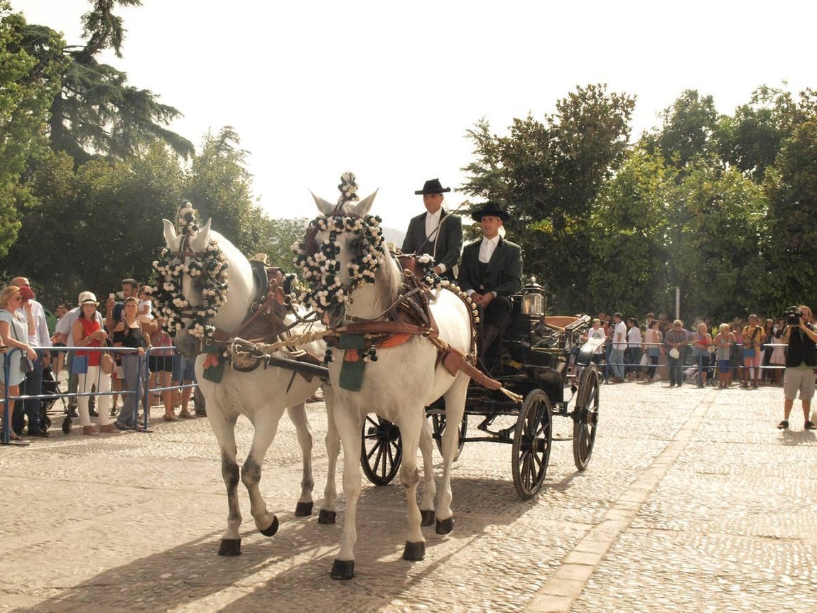 Carruaje del Real Club de Enganches de Andalucía