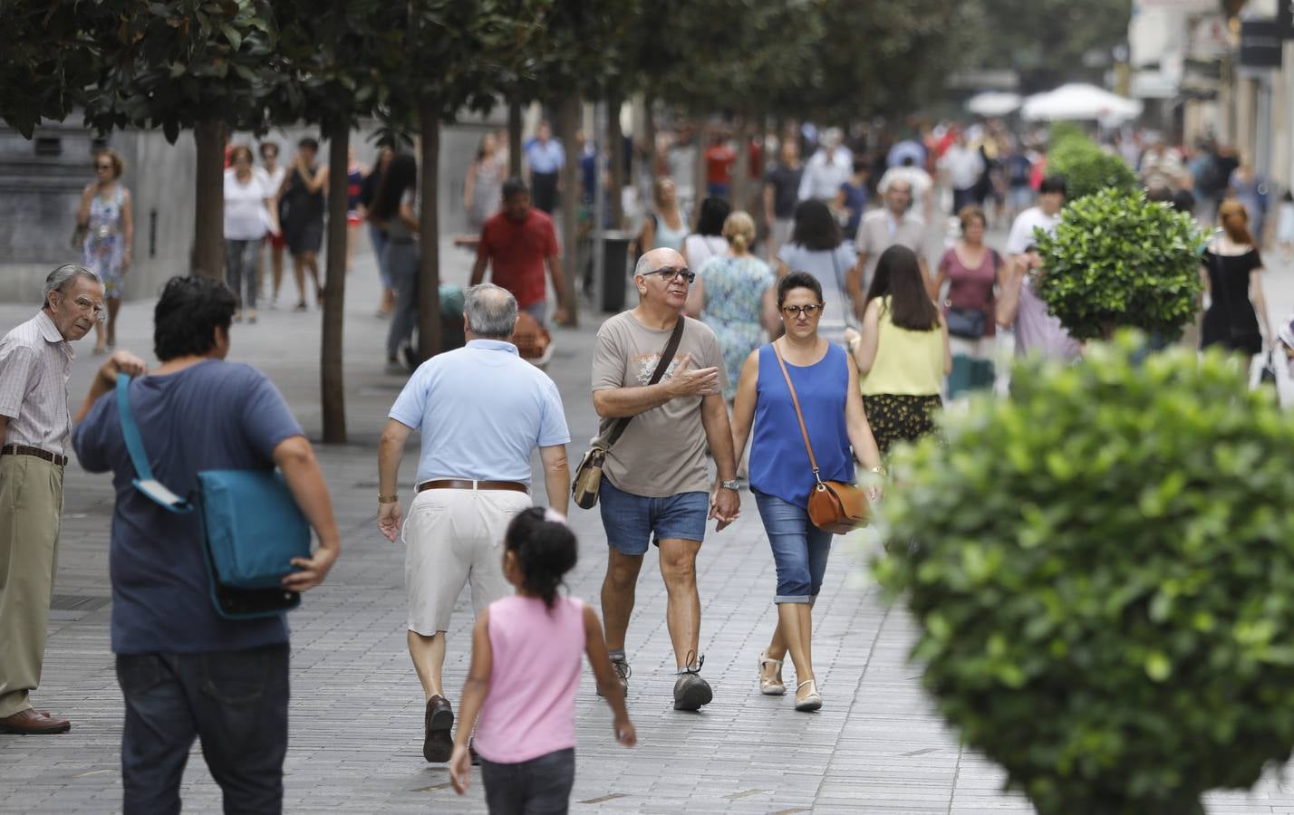 La paulatina vuelta a la normalidad de Córdoba, en imágenes