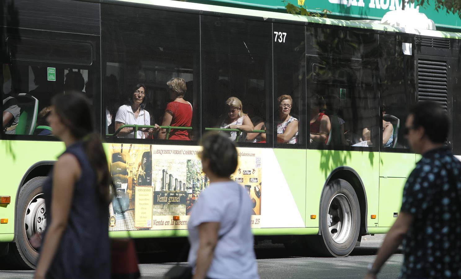 La paulatina vuelta a la normalidad de Córdoba, en imágenes