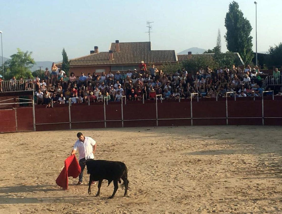 Becerrada popular en Menasalbas