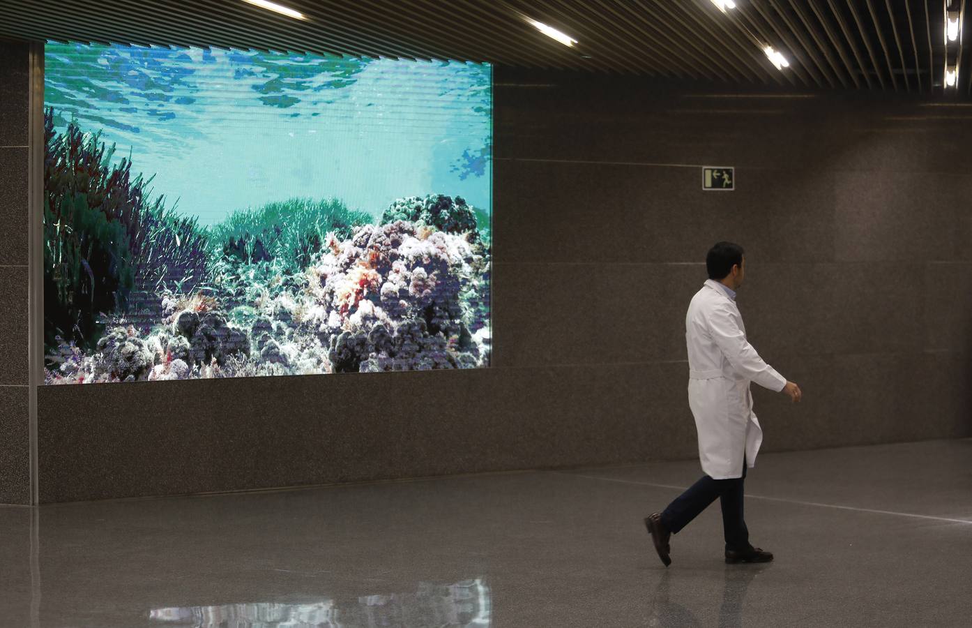 El primer día de actividad del Hospital Quirón de Córdoba, en imágenes