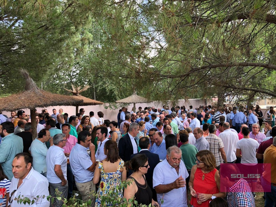 La fiesta de la ternera de Menasalbas, en imágenes