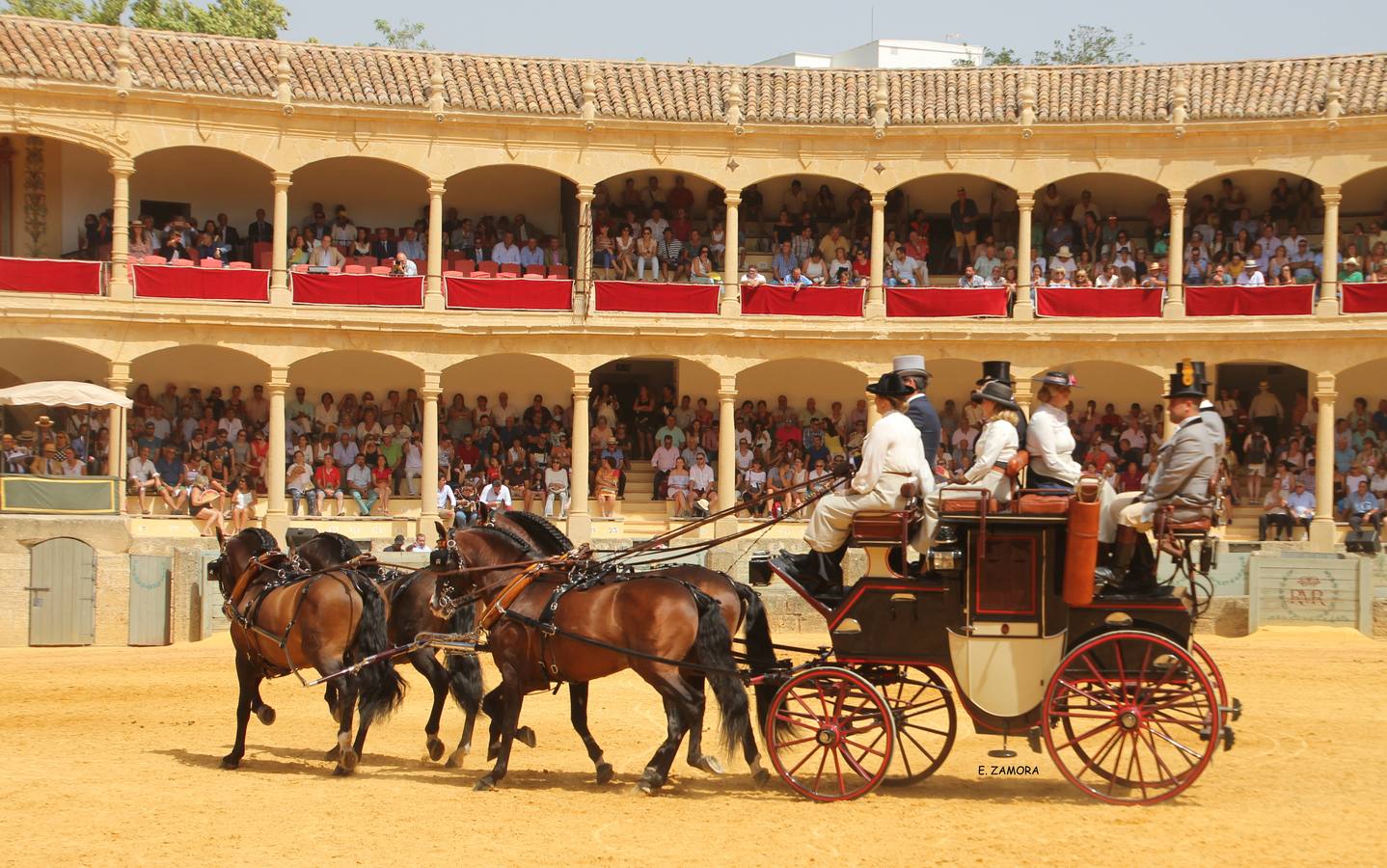 Lo mejor de la Exhibición de Enganches de Ronda