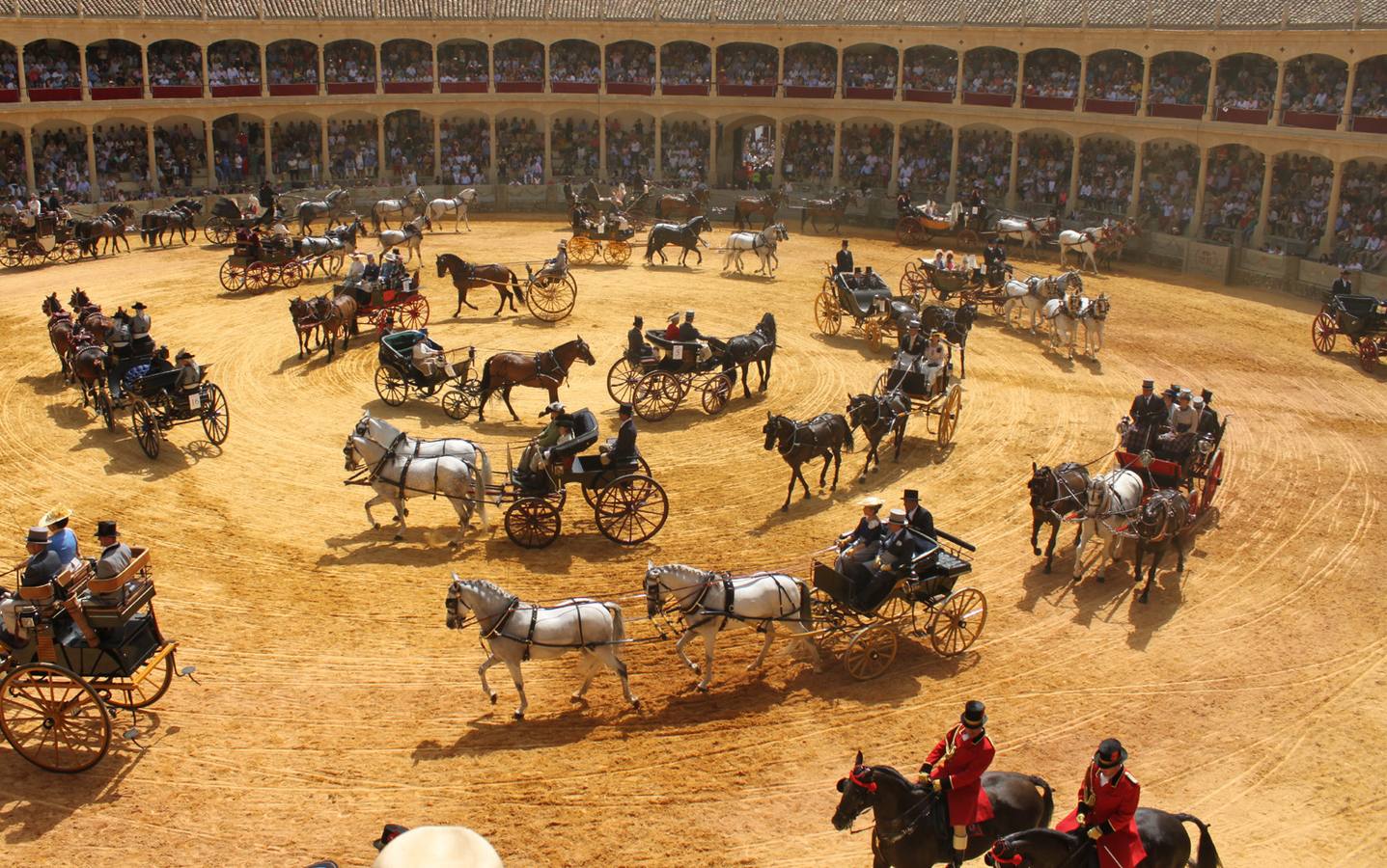 Lo mejor de la Exhibición de Enganches de Ronda