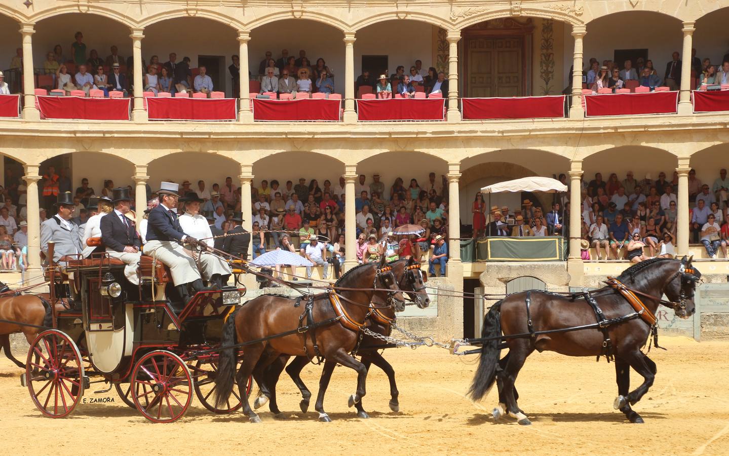 Lo mejor de la Exhibición de Enganches de Ronda