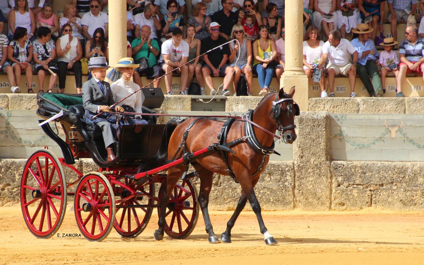 Lo mejor de la Exhibición de Enganches de Ronda