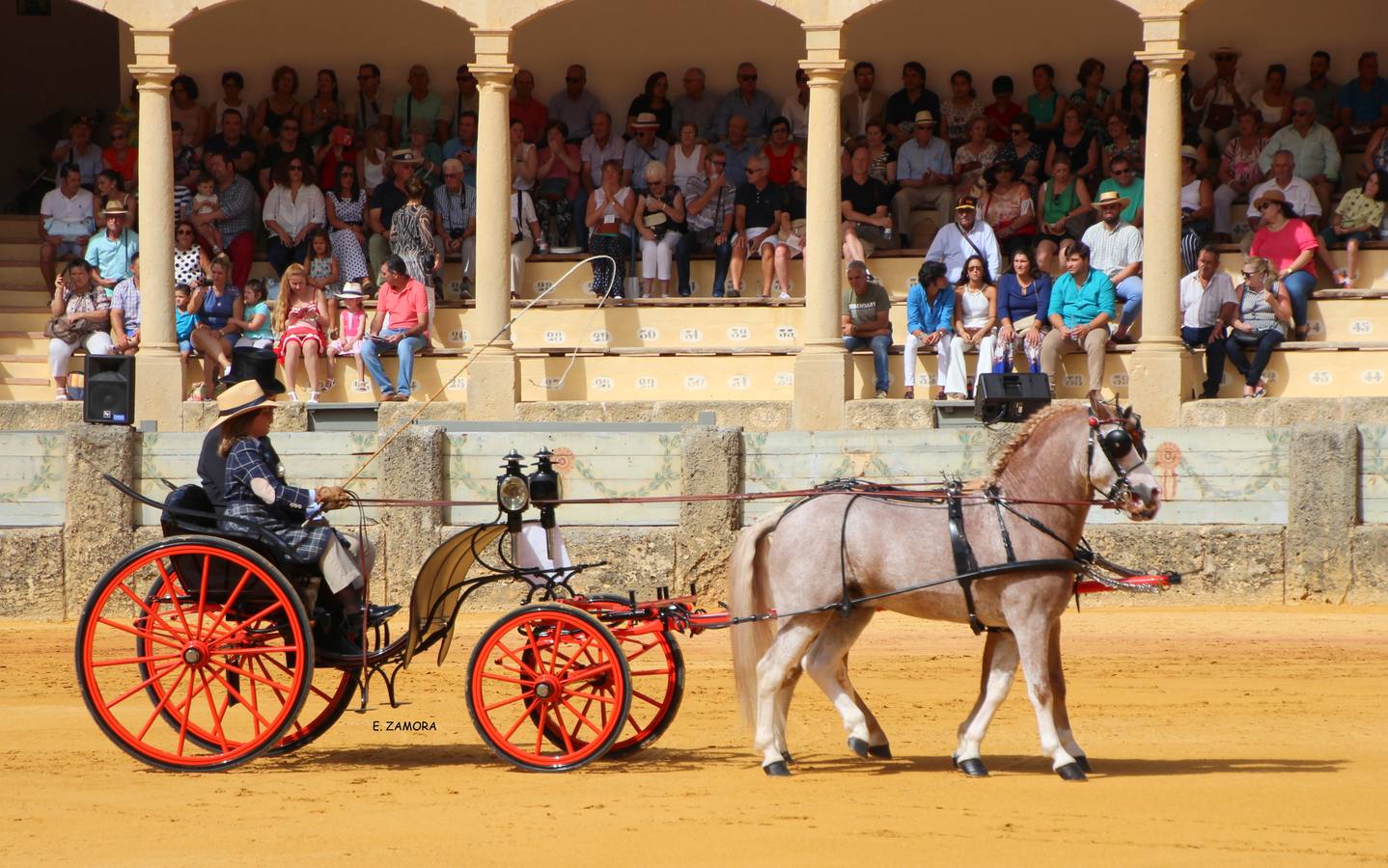 Lo mejor de la Exhibición de Enganches de Ronda