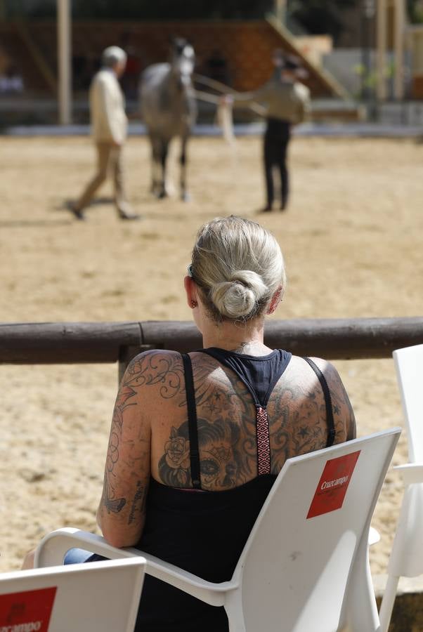 La primera jornada de Cabalcor, en imágenes