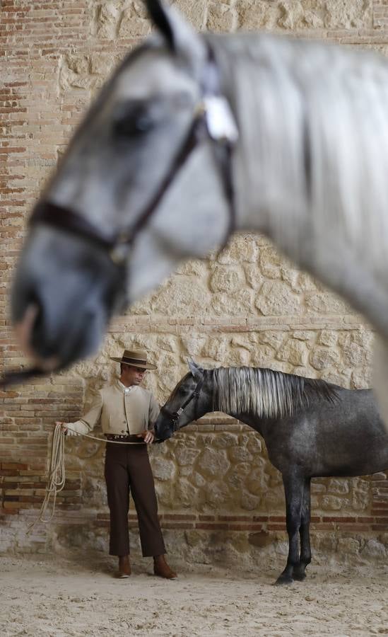La primera jornada de Cabalcor, en imágenes