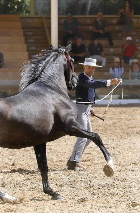 La primera jornada de Cabalcor, en imágenes
