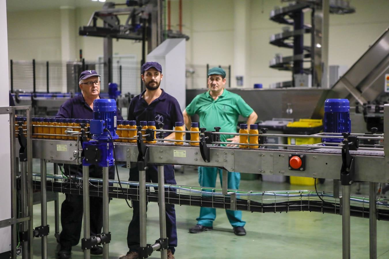 En imágenes, el Rey en la inauguración de la nueva fábrica de Ybarra en Sevilla