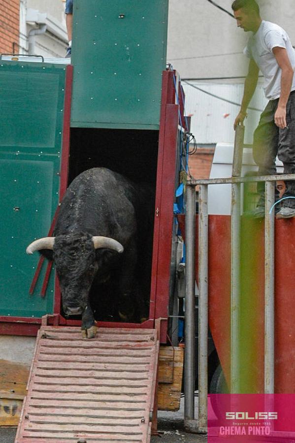 Encierro y recortadores en Numancia de la Sagra