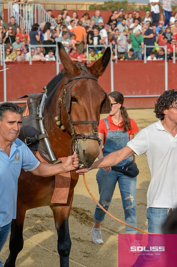 Encierro y recortadores en Numancia de la Sagra
