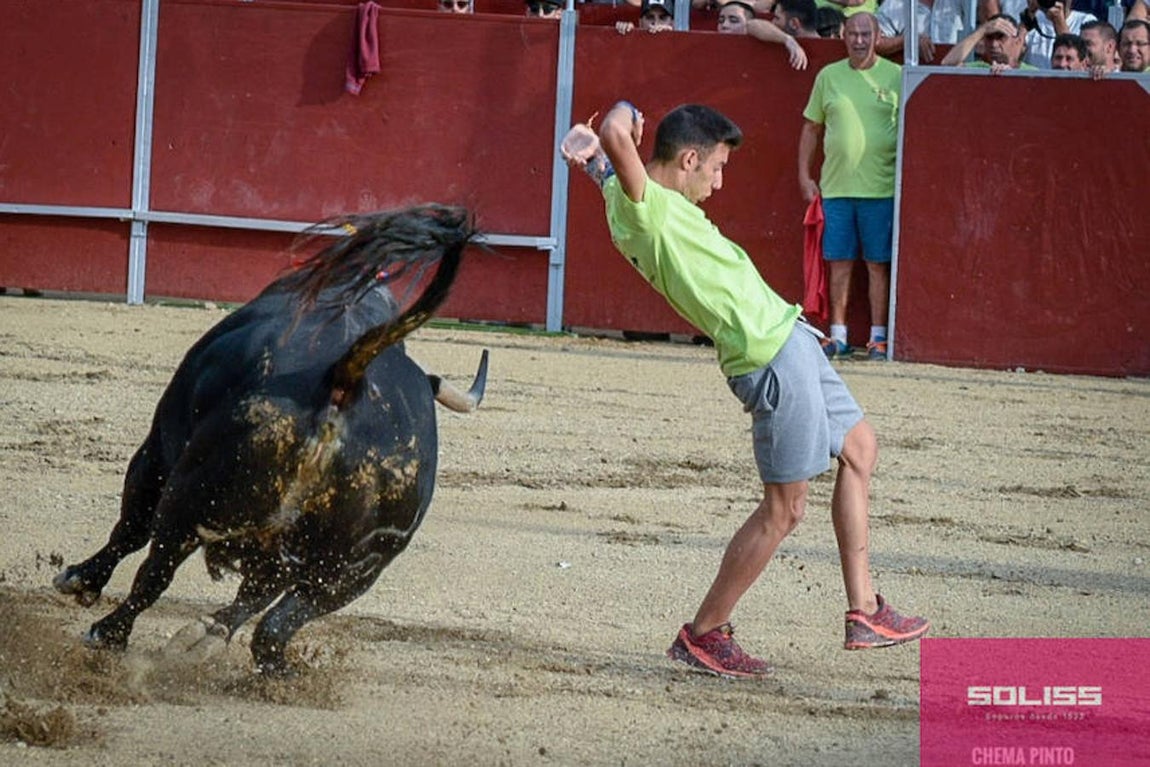 Encierro y recortadores en Numancia de la Sagra