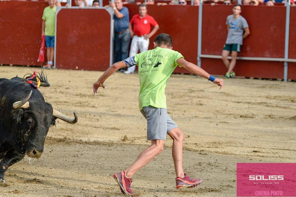 Encierro y recortadores en Numancia de la Sagra