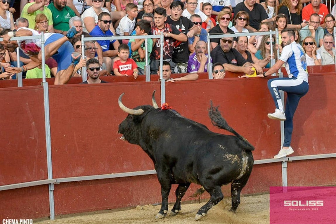 Encierro y recortadores en Numancia de la Sagra
