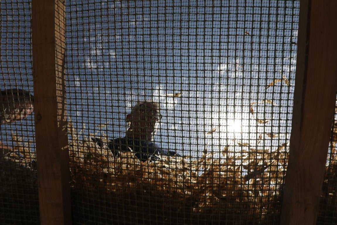 FOTOS: Los grandes chefs españoles, en el despesque de Ángel León