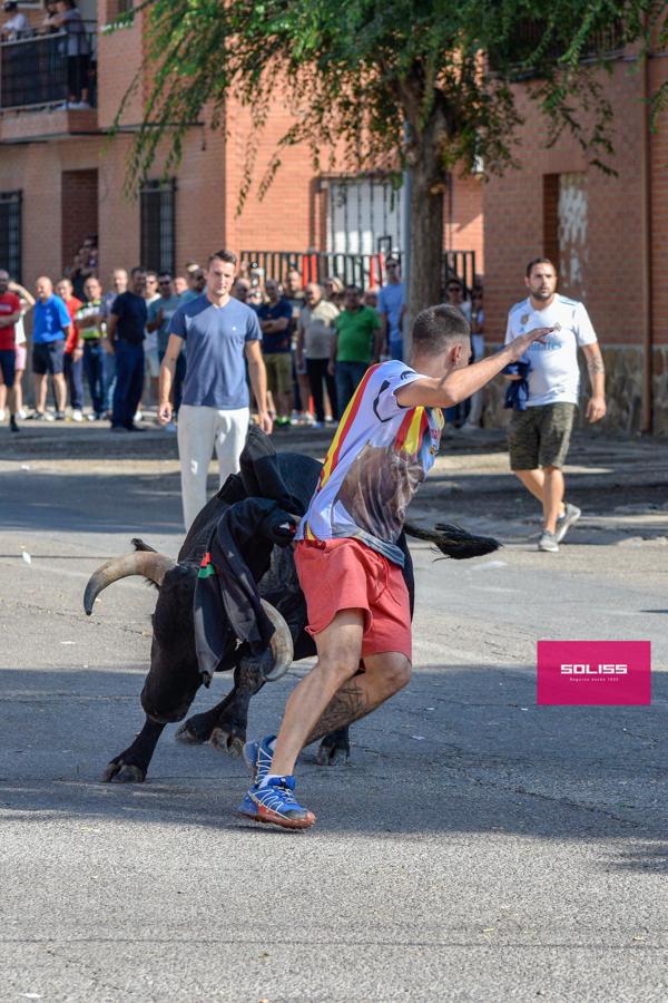 El encierro de Cobeja, en imágenes