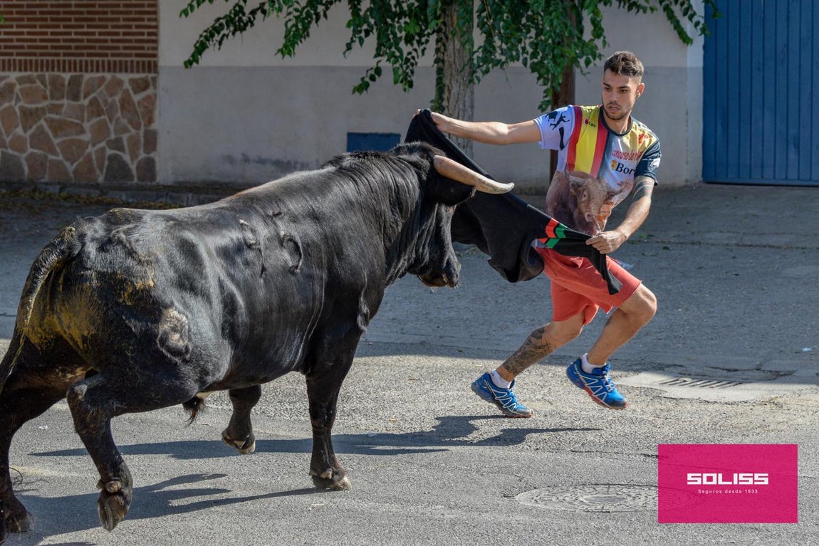 El encierro de Cobeja, en imágenes