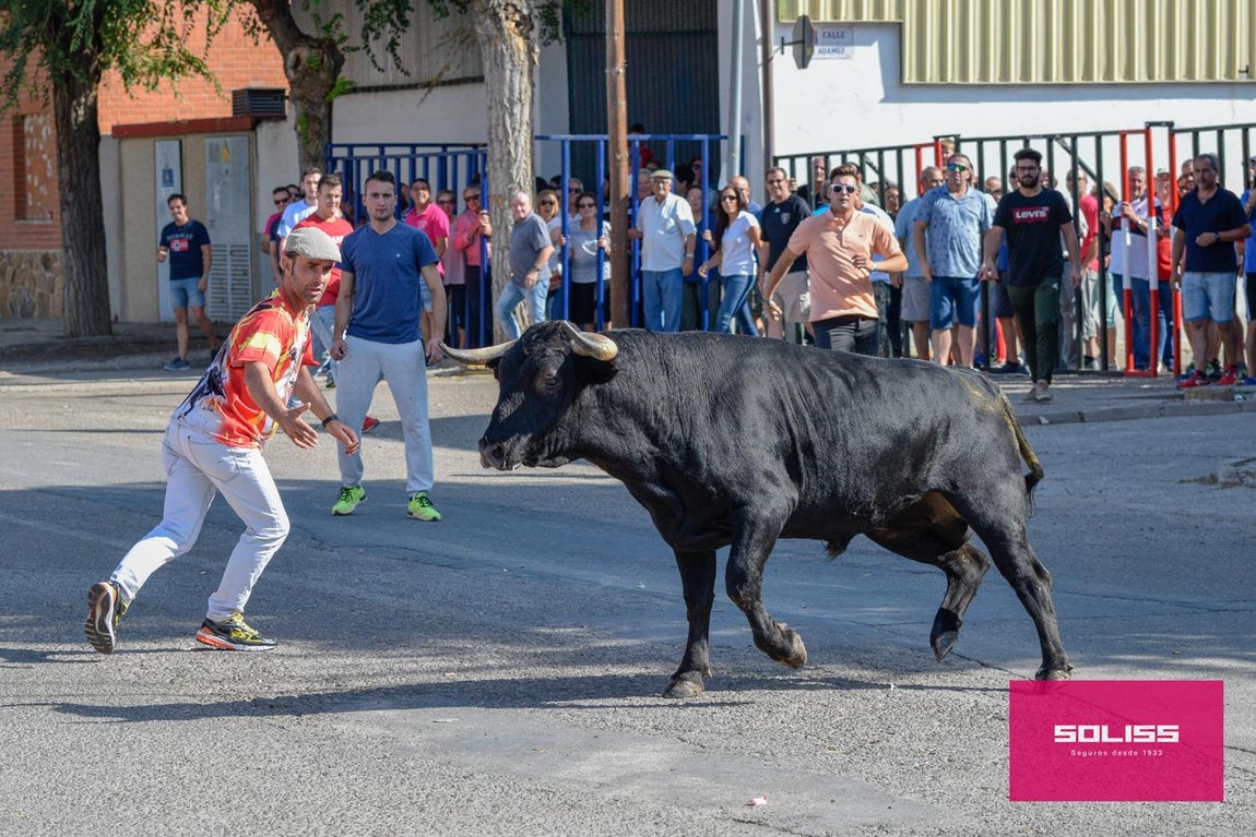 El encierro de Cobeja, en imágenes