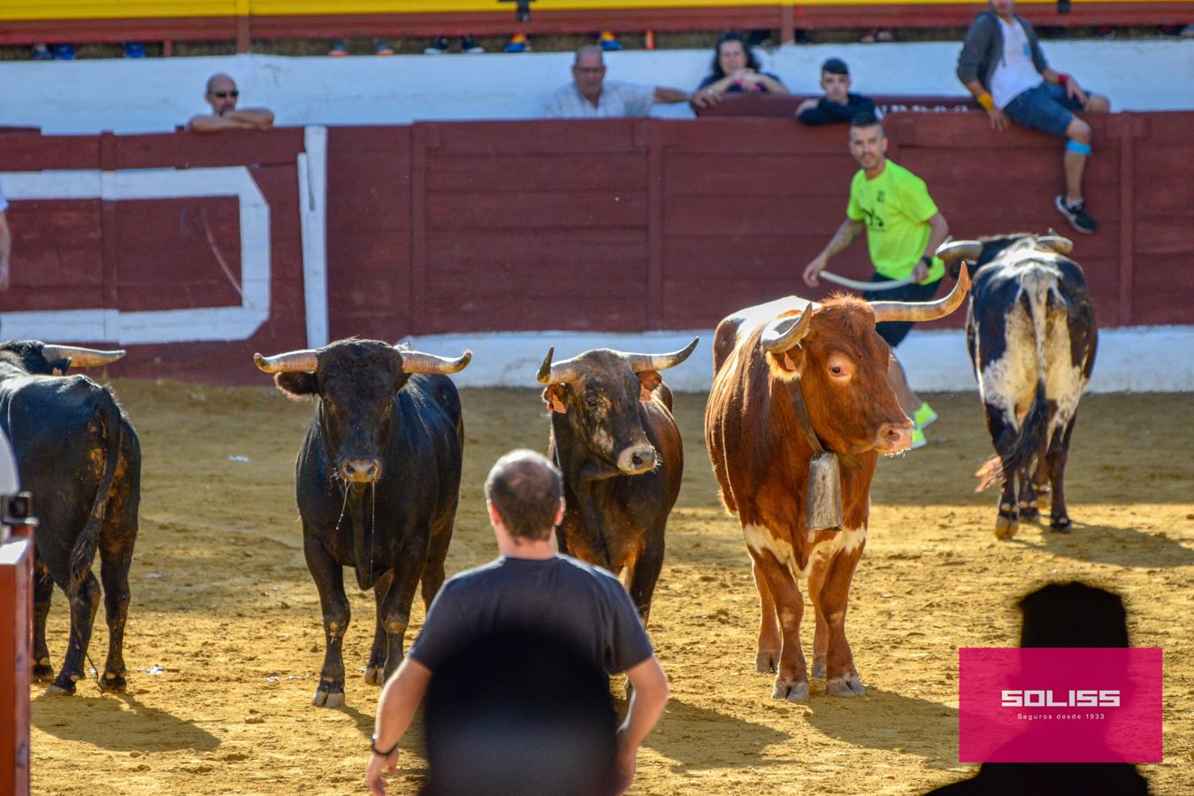 Los encierros marcan las fiestas de Yepes