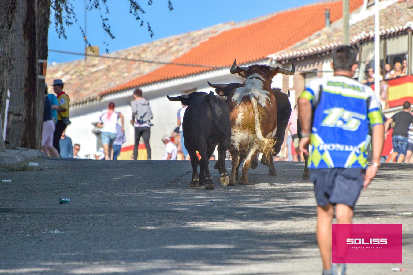 Los encierros marcan las fiestas de Yepes